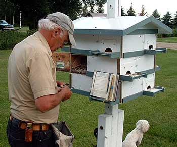 Caring for a house