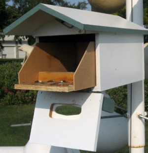 Opened bungalow birdhouse